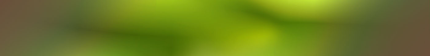 Fondo BC-8