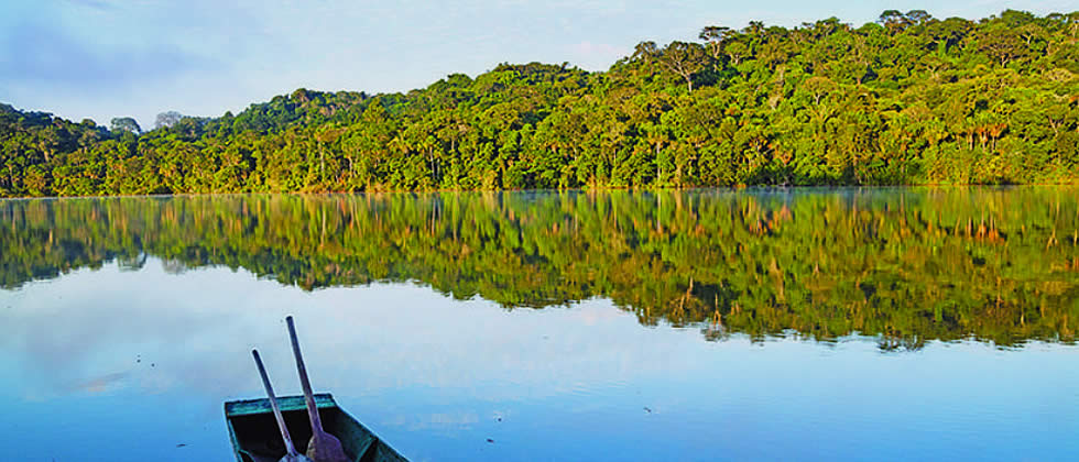 DESCUBRE LA BELLEZA DEL PARQUE NACIONAL MADIDI