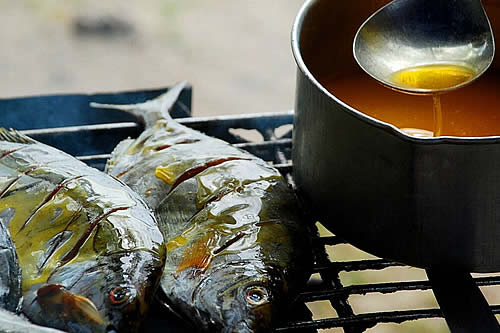 Una nutricionista revela los trastornos de los que protege el aceite de pescado