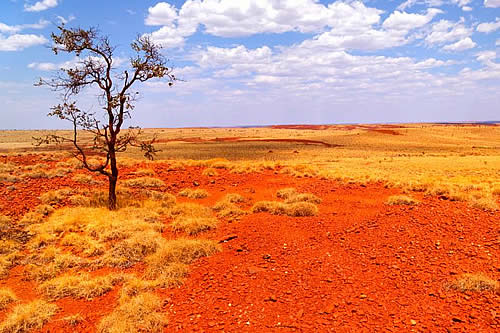 Australia registra 50,7 grados y alcanza un sorprendente récord de calor en el hemisferio sur 