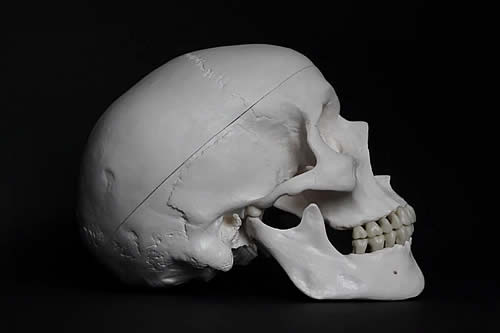 Hallan cráneo de casi 8.000 años en el río Minesota