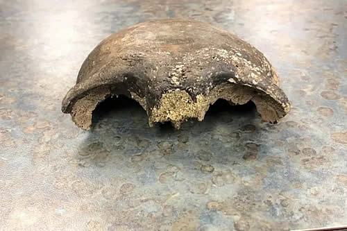 El cráneo humano hallado por unos kayakistas en el río Minnesota resultó ser de hace unos 8.000 años 