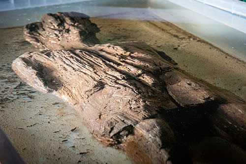 Hallan una "increíble" figura de madera de la época romana durante la construcción de una ruta ferroviaria en el Reino Unido 