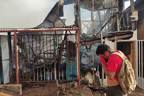 Representante de residentes bolivianos en Chile dice que el 60% de afectados por incendio son compatriotas