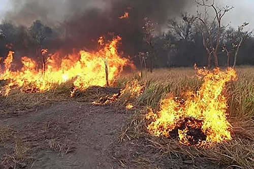 Defensa Civil descarta incendios forestales pero registra 689 focos de calor en el país