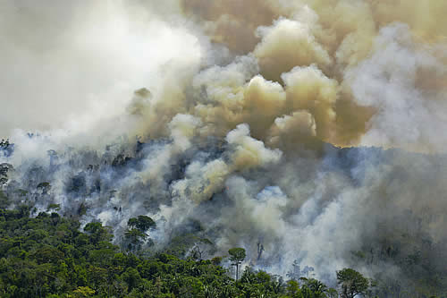 La Amazonía brasileña registró 5.373 incendios forestales en julio (y rompió el récord del año pasado) 