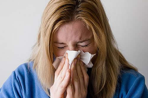 La gripe estacional moderna desciende directamente de la cepa pandémica de 1918, según estudio 