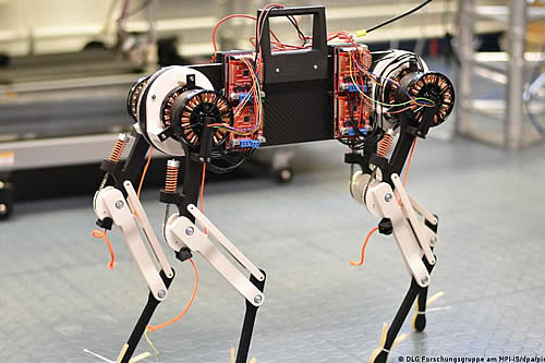 Un perro robot con "médula espinal virtual" aprende a caminar en solo una hora 