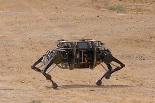China desarrolla el robot biónico cuadrúpedo más grande del mundo para complejas misiones militares
