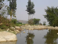 Arani 3