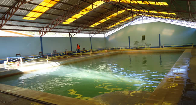 Urmiri