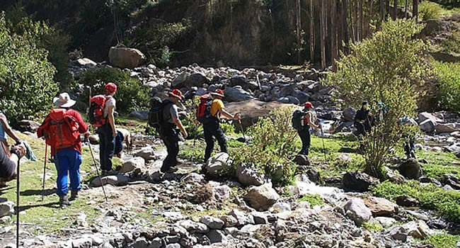 Camino del Oro