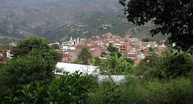 Chulumani – Yungas