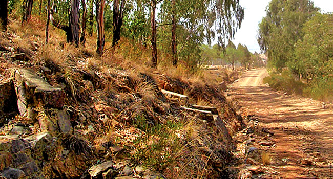 Senda ecológica parque Tunari