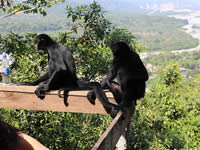 Villa Tunari - Chapare 2