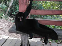 Villa Tunari - Chapare 4