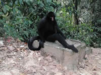 Villa Tunari - Chapare 5